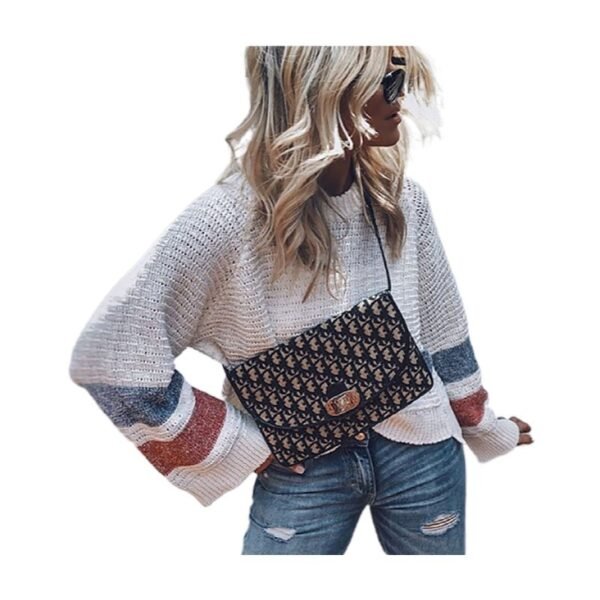 Women's Hollow-out Long Sleeve Color Matching Round Neck Pullover Loose Sweater - Image 5