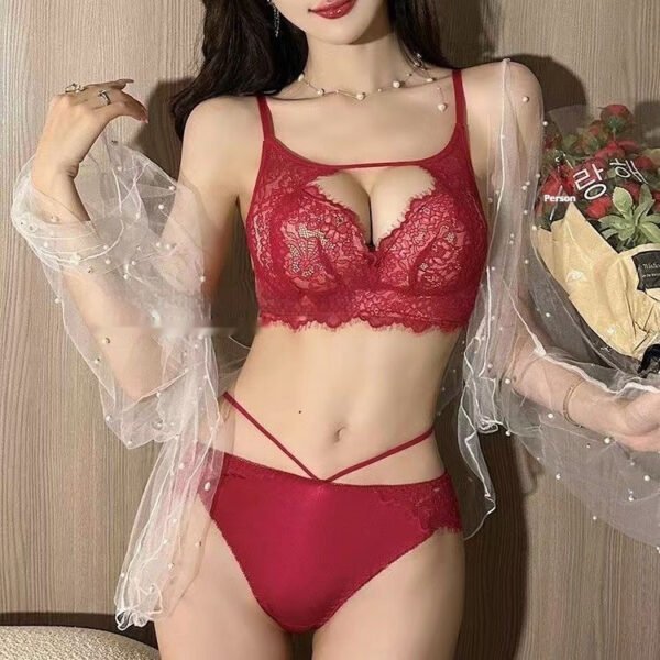 French Lace Underwear Women's Small Chest Push Up - Image 3